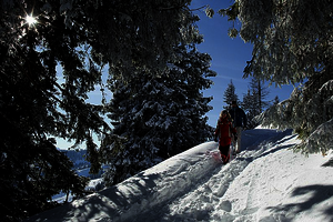 100km of prepared winter hiking trails on the Wilder Kaiser
