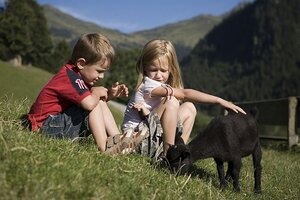 [Translate to Englisch (en):] Wildtiere für Erwachsene und Kinder im Wildpark Aurach in den Kitzbuehler Alpen
